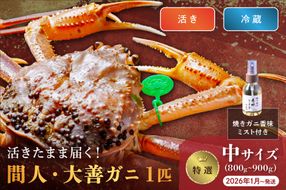 【蟹の匠 魚政】京丹後市産 活きたまま届く！　間人ガニ大善ガニ 特撰 中サイズ（800～900g) 1匹　香味ミスト付き　(2026年1月～発送)　UO01405