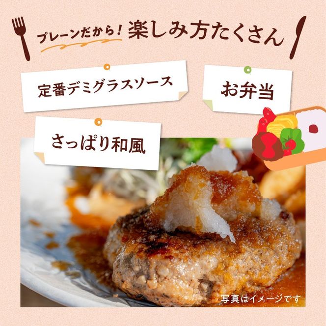 【A05065】豊後牛ハンバーグ（プレーン・チーズ入り）合計10個セット（合計約1kg）
