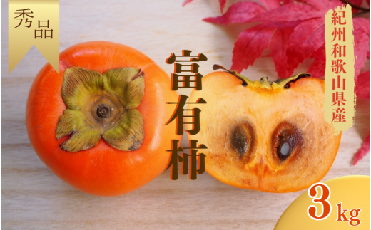 ya̎RI쒬zys\zyGizI쒬Y xL` 3kg(8`10)y2025N11{`12{ɏv܂Bz/ a̎R I쒬 JL ` Â  3kg yfrt005Az