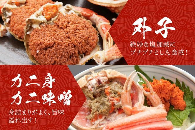 【期間エリア限定！】厳選！絶品！ 釜茹で セイコ蟹15杯　YK00427