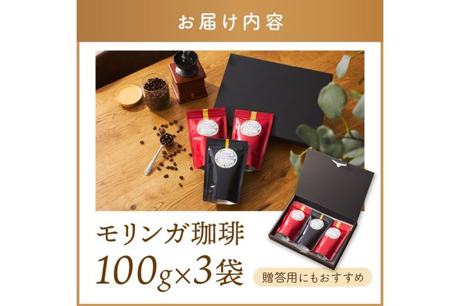 【A5-436】福岡県産モリンガ珈琲