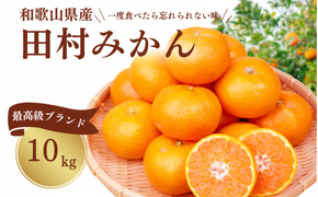  高級ブランド田村みかん 10kg サイズお任せ ※2025年11月下旬頃〜2026年1月下旬頃に順次発送(お届け日指定不可)/果物 フルーツ くだもの みかん 【uot505】