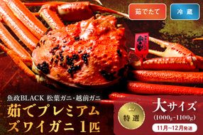 【蟹の匠 魚政】茹で　プレミアムズワイガニ 魚政BLACK（松葉ガニ・越前ガニ）特撰 特大サイズ（1200～1300g） 1匹(11月～12月発送)　UO01300