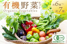 ＜てんとうむしばたけ＞オーガニック野菜セット　有機野菜6～7種(2人用) BR00058