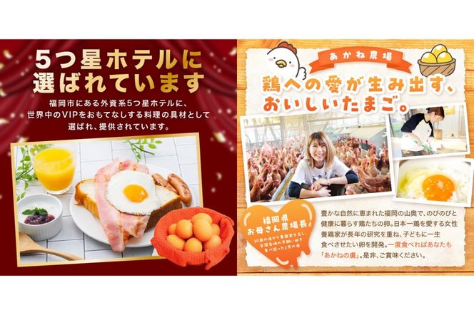 【J95-005】〈平飼い卵〉あかねの虜（40個/月）【12カ月定期便】