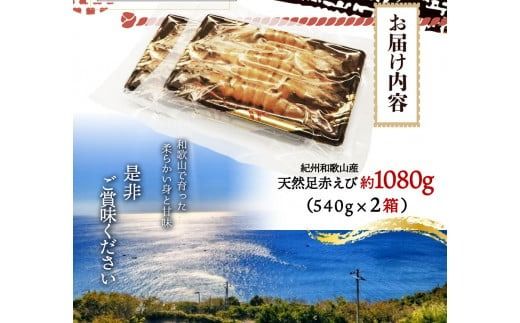  紀州和歌山産天然足赤えび540g×2箱（270g×4パック）化粧箱入 ※2025年11月末頃〜2026年1月下旬頃順次発送予定（お届け日指定不可）/ 海老 エビ えび クマエビ 【uot773A】