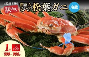 【訳あり！指落ち松葉がに】山陰沖ゆで松葉がに 800ｇ～900ｇ 大サイズ（1月～3月発送）／北畿水産　HK00253