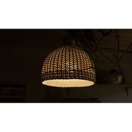 豊岡杞柳細工 育てる照明『hinode』照明金具：引掛けシーリングタイプ（E26口金） / ランプシェード 照明金具・電球付き 柳 半円球 伝統工芸品 天然素材 行李柳 コオリヤナギ