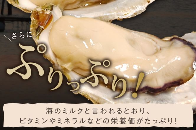 京都・京丹後産牡蠣　約20個　AH00020