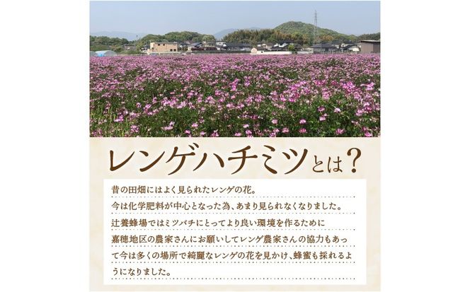 【A9-033】レンゲハチミツ　300g×2