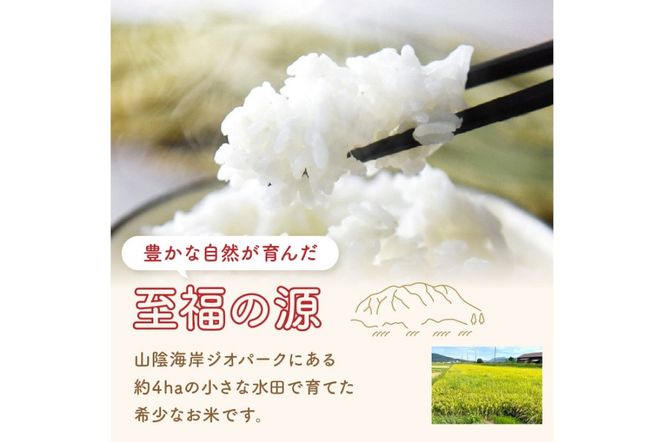 【先行予約】丹後弥栄産コシヒカリ（玄米10kg） コシヒカリ 玄米 おこめ おにぎり 京都産 お米 ふるさと納税 こしひかり　NF00006