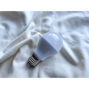 豊岡杞柳細工 育てる照明『sun pillar』照明金具：ダクトレールタイプ（E26口金） / ランプシェード 照明金具・電球付き 柳 円柱形 伝統工芸品 天然素材 行李柳 コオリヤナギ