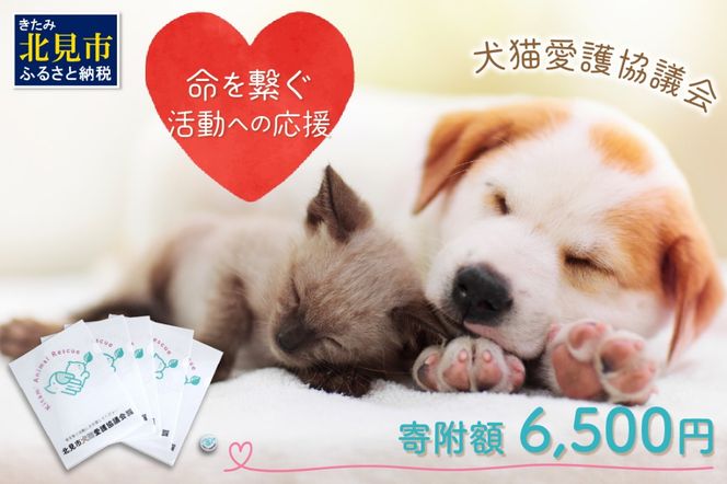 ykCkszyL슈Aqւ̉zksL싦cObY (  ˂ ی nL G [ Zbg   )y144-0005z
