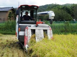 京都・丹後羽衣天女米（特別栽培米コシヒカリ） 玄米 20kg　NL00002