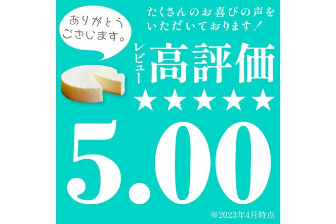 牧場のチーズケーキ（生）1個　TJ00013