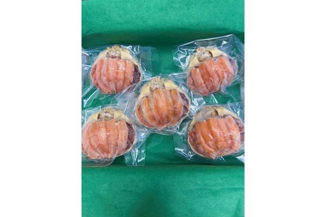 セイコガニ甲羅盛Mサイズ　5個セット　SK00181