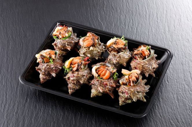 お刺身専用！日本海荒波育ち京丹後産お刺身さざえ8個入　HK00269