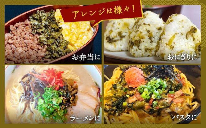 辛子高菜 250g×4パック【魚住商店】_HA1585