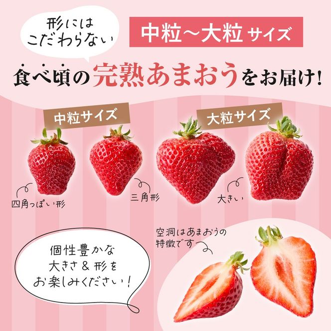 オーガニックあまおう「いせいちご」2パック(280g×2)_HA1116