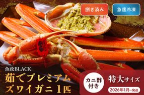 【蟹の匠 魚政】魚政BLACK プレミアムズワイガニ〈茹で・捌き済〉急速冷凍 特大サイズ 1杯　カニ酢付き　(2026年1月～発送)　UO01337