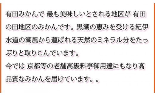  【ご家庭用訳あり】田村みかん　5kg ※2025年11月下旬頃〜2026年1月下旬頃に順次発送 / みかん 蜜柑 フルーツ 果物 くだもの 【uot754】