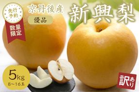 【先行予約／数量限定100】【訳あり】新興梨 優品 5kg（8～16玉入り）（2026年10月上旬～発送）　SF00043