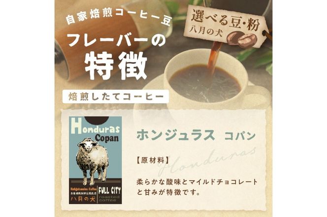 【栽培期間中農薬不使用】自家焙煎コーヒー豆 ホンジュラス　コパン 500g（250g×2） 約50杯分 小分け　豆・粉 選べる　HA00025