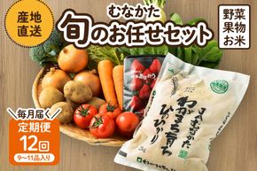 【定期便／年12回／毎月お届け】むなかた旬のお任せセット(野菜・フルーツ・お米／9～11品)【ほたるの里】_HB0029