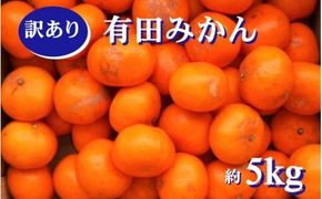 紀州有田みかん 約５kg　訳あり　キズ　御家庭用　サイズ混合　※2024年12月上旬頃より順次発送予定 ※北海道・沖縄・離島配送不可【sml130】