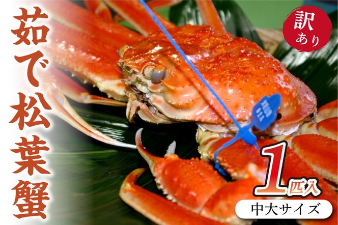 ys{Osz{CY uhI 䥂ŏtI y󂠂zTCY@matubakani800 SS00080