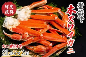 【大好評！カニ酢付き】厳選！！釜茹で　本ズワイガニ　２Lサイズ2肩　YK00404