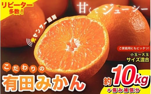 【2025年11月発送予約分】【家庭用】【農家直送】こだわりの有田みかん 約10kg＋250g(傷み補償分)  有機質肥料100%  サイズ混合　【11月発送】※北海道・沖縄・離島配送不可【nuk10