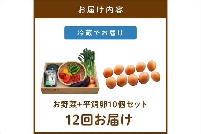 【定期便】合計12回お届け　有機野菜・京野菜の『京都やおよし』のお野菜＆平飼玉子10個の詰め合わせ　AA00056S
