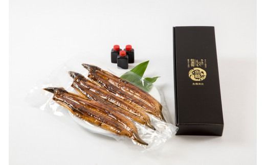 【土用の丑の日までにお届け！】【大型サイズ】国産 大型サイズ ふっくら柔らか 国産うなぎ蒲焼き 3尾 化粧箱入 先行予約 国産 うなぎ ウナギ 鰻 蒲焼 土用の丑の日 丑の日 【uot303A-dy】