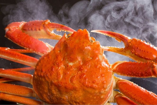 【先行予約】【厳選！タグ付きブランド蟹】茹で松葉かに（600g級×1杯）（2026年1月～発送）　YK00229