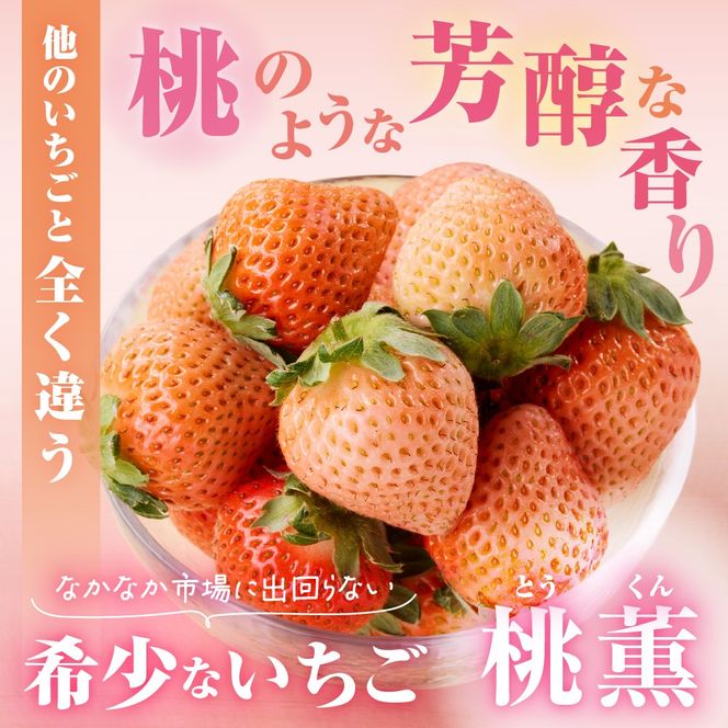 【先行予約】【2025年12月中旬より順次発送】福岡県産　桃薫　2パックセット【ナチュレッシュ・ファーム・ジェイピー】_HA1338