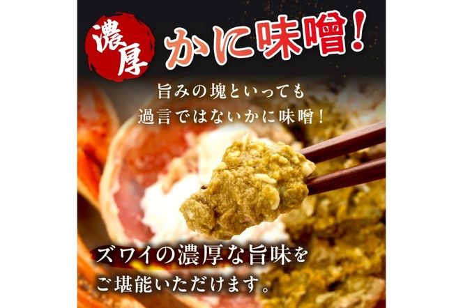 【大好評！カニ酢付き】訳あり！釜茹で！本ずわいがに姿 500g×2杯　YK00440