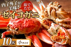 【蟹の匠 魚政】内子外子が美味! 茹でたて セイコガニ（セコ蟹）（香箱ガニ）（こっぺ）小サイズ 10匹セット　UO01384