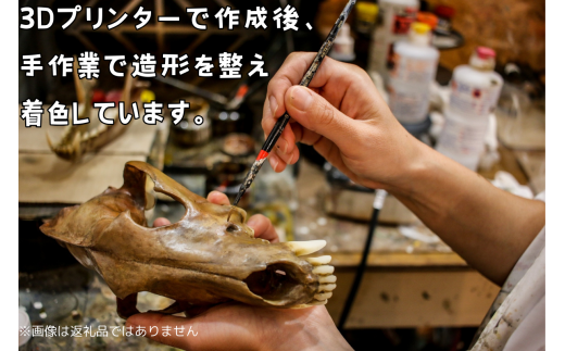 【イヌ 】 縮小 全身骨格レプリカ    /    レプリカ 標本 コレクション プラモデル 動物標本 頭骨レプリカ 犬  フィギュア インテリア 模型 動物 博物館 骨格 頭蓋骨 ミニチュア 3Dプリント 【anf003A】