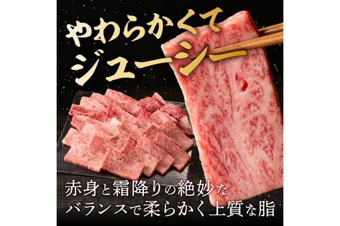 【A8-088】博多和牛 肩ロース焼肉用