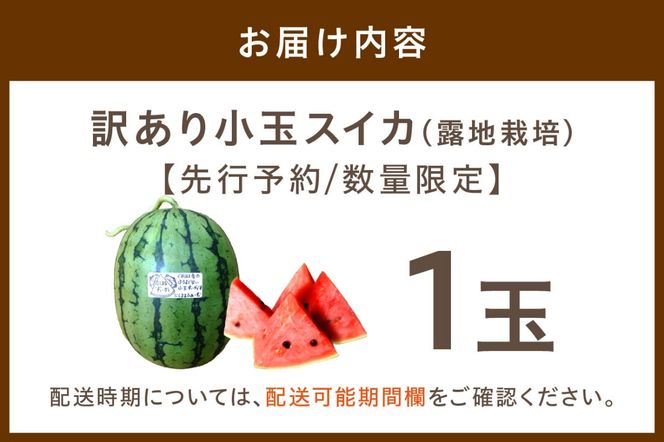 【先行予約／数量限定200】にしまるスイカ 訳あり 1玉入り（露地栽培）（2026年7月中旬から発送）　FR00014