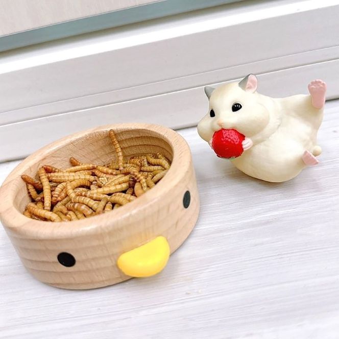 fuu オーガニックfuuミルワーム（小）［145S22］