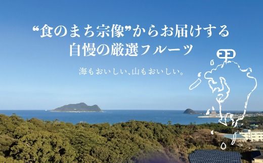 訳あり冷凍いちじく（とよみつひめ」）2kg【JAほたるの里】_HA1659