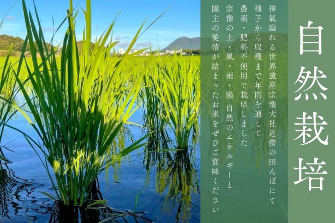 令和8年産 新米予約受付！自然栽培米ひのひかり5kg〈栽培期間中農薬・肥料不使用〉【ほのわ】_HA1609