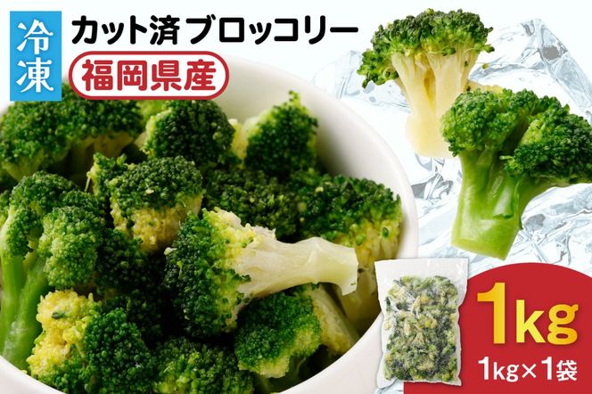 y@szi`ނȂubR[IⓀubR[1kgyق̗z_HA0621