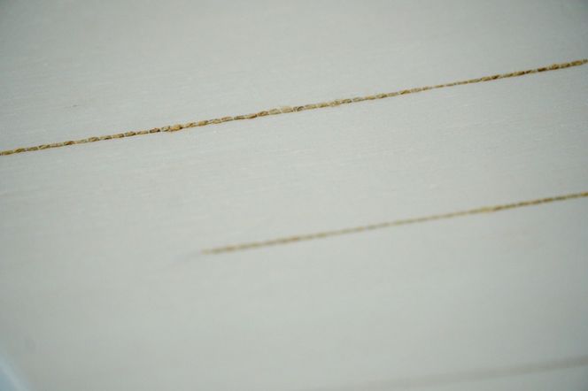 ＜丹後の藤布　遊絲舎＞八寸名古屋帯　「藤八本」（白）選べるお仕立て　FY00108