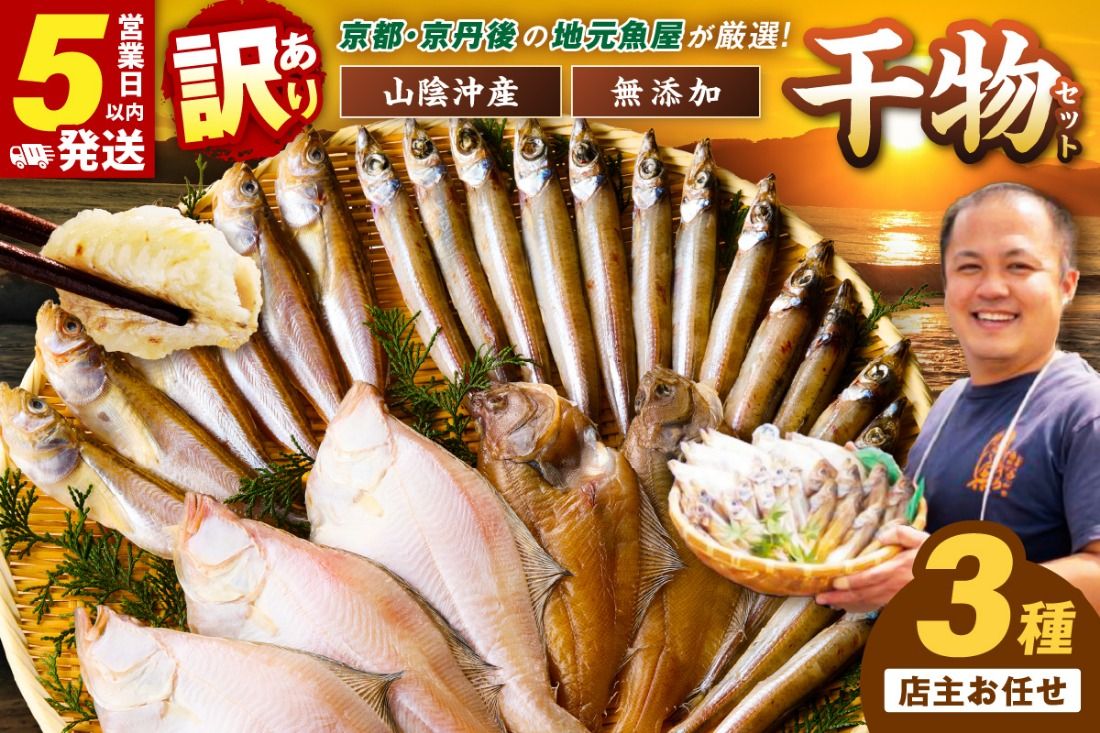 [最短2〜5営業日以内に発送]京丹後の地元魚屋が作ったお任せ干物セット(冷凍) TB00024SH
