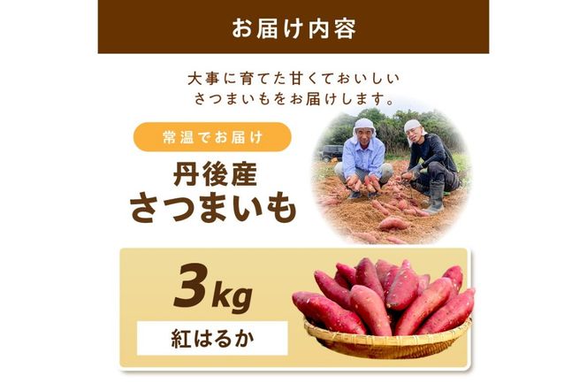 【先行予約】丹後産　さつまいも　紅はるか3kg　2026年3月下旬～配送　AM00666_04