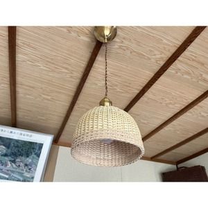 豊岡杞柳細工 育てる照明『hinode』照明金具：ダクトレールタイプ（E26口金） / ランプシェード 照明金具・電球付き 柳 半円球 伝統工芸品 天然素材 行李柳 コオリヤナギ