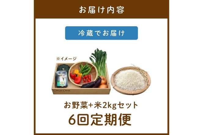【定期便】合計6回お届け　有機野菜・京野菜の『京都やおよし』のお野菜と米2kgの詰め合わせ　AA00041  